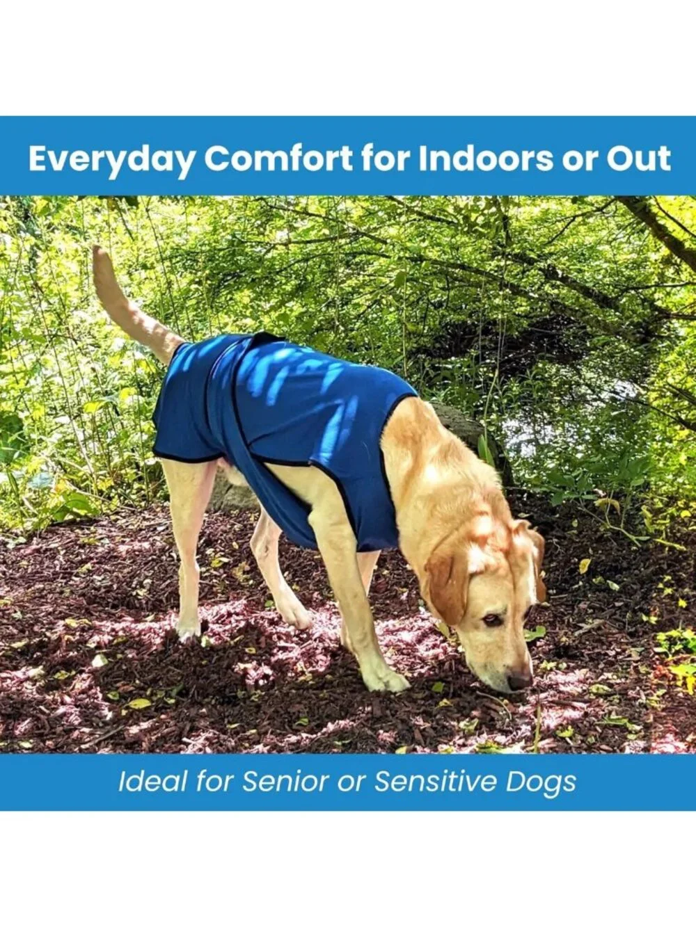 Lightweight Dog Cooling Vest, Rose Pink XS, Breathable & Quick-Dry Pet Shirt